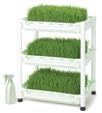 Wheatgrass-Grower-SM-350-large.jpg