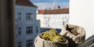 Sproutman_Sprout_Bag_In_Berlin