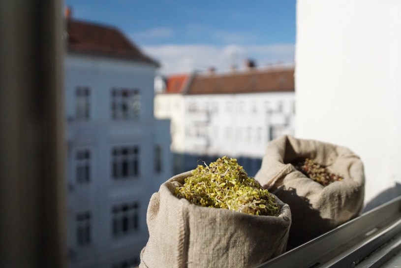 Sproutman_Sprout_Bag_In_Berlin