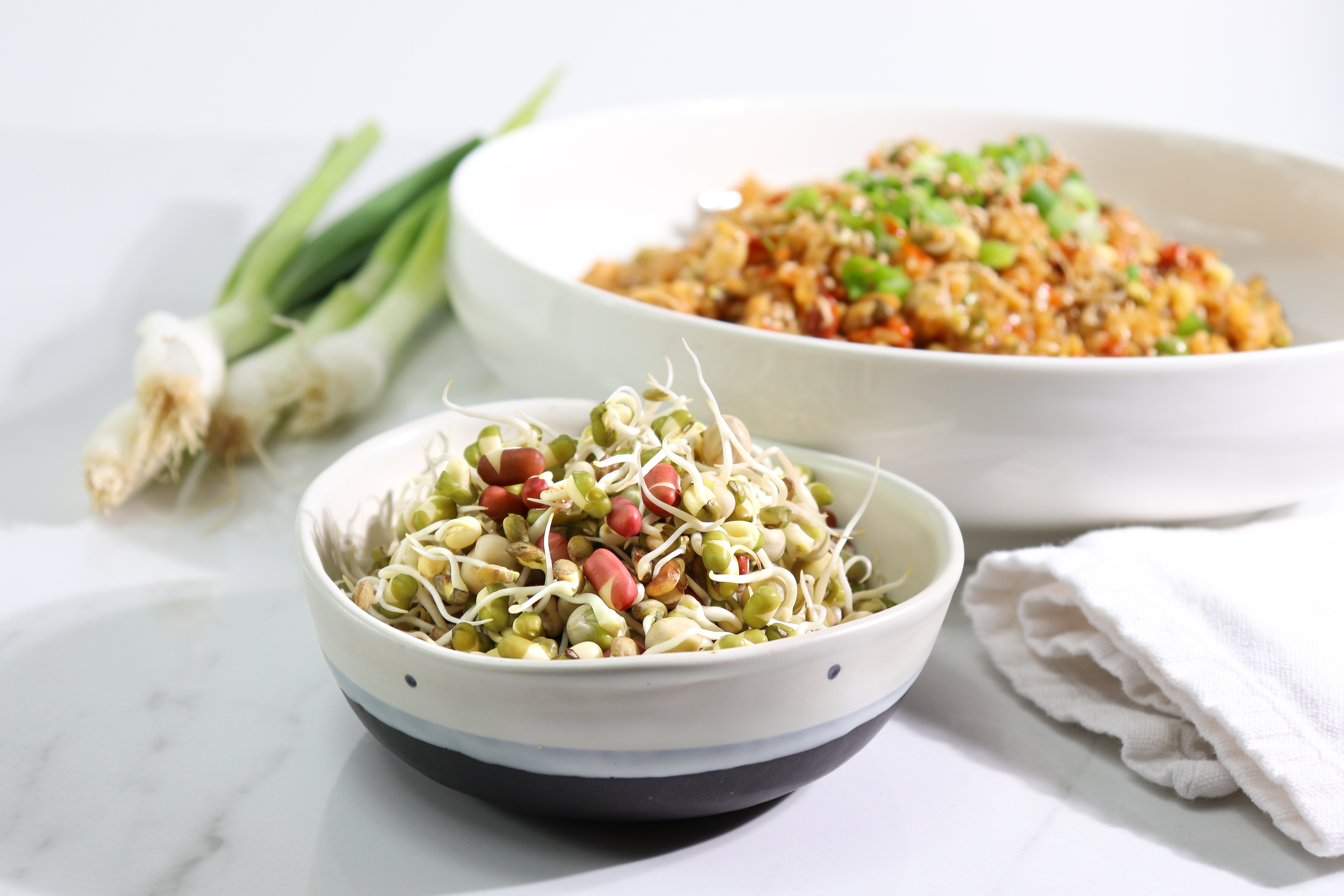 Simple & Delicious Sprout Fried Rice – Sproutman SproutLab